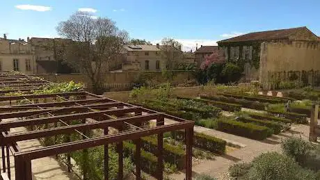 Photo de Palais des Papes Garden