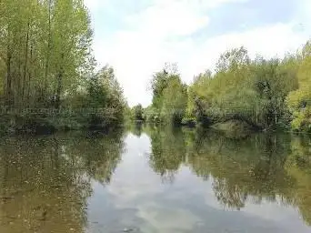 Photo de Ottenheim am Rheindamm