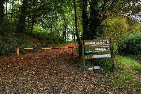Red Kite Walk