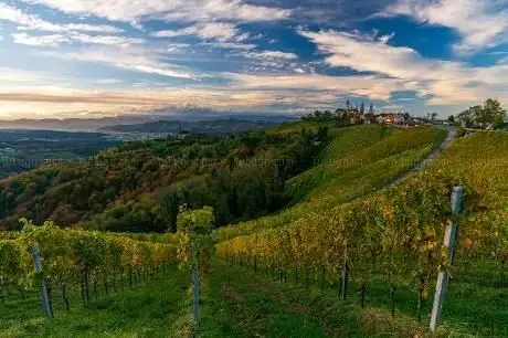 Photo de Sausaler Weinstraße