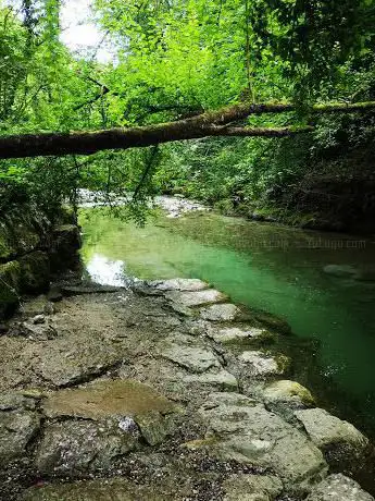 Photo de Forêt Satigny