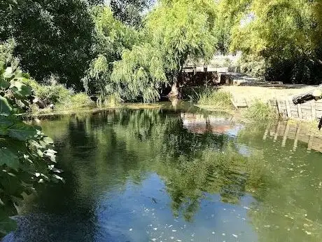 Photo de Açude do Moinho da Cova
