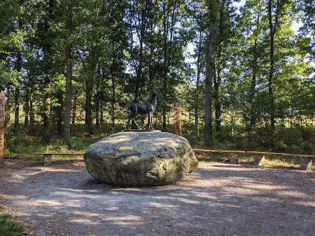 Photo de Memorial Wood