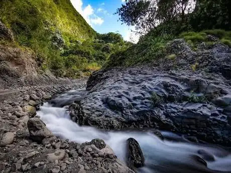 Photo de Orgues basaltiques