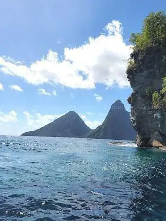 Photo de Real Deal Boat Tours