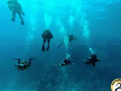 Photo de SeaHorse Diving Club