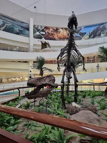 Photo of MTA Genel MüdürlüÄŸü Åžehit Cuma DaÄŸ Tabiat Tarihi Müzesi