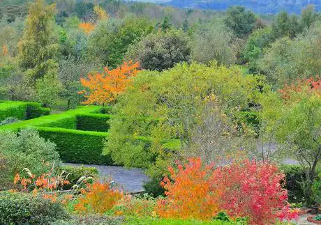 Photo de Birkheads Secret Gardens Coffee Shop & Nursery