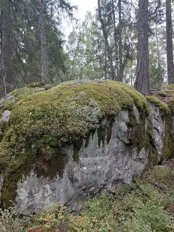 Photo de Täljeleden Vandringsled