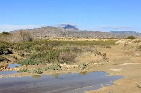 Photo de Paisaje Protegido Humedal de Ajauque y Rambla Salada
