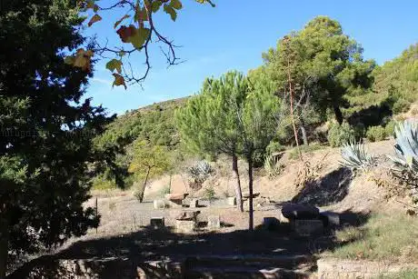 Photo de Ãrea recreativa Mas de Castellano