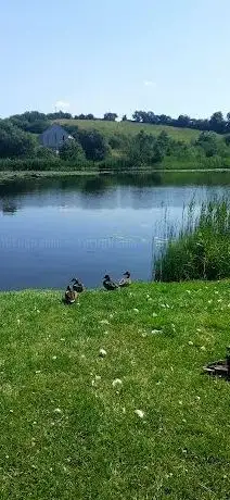 Photo de Lake View Carpark