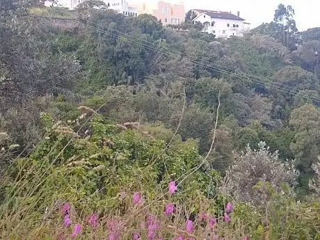 Photo de Penedo da Meditação