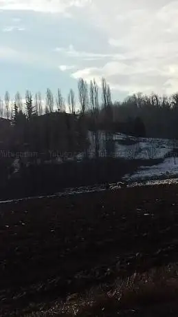 Photo de Campo sportivo comunale