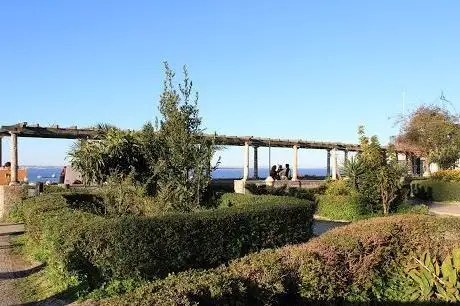 Photo de Jardim Júlio de Castilho