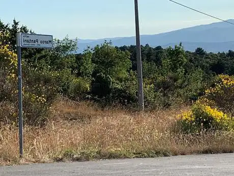 Photo de Salita Marco Pantani