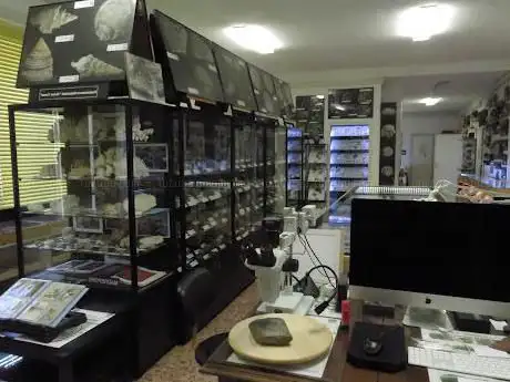 Photo de Museo di Scienze Naturali Alvise Comel