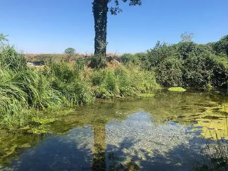 Photo de Fontanile Alipranda