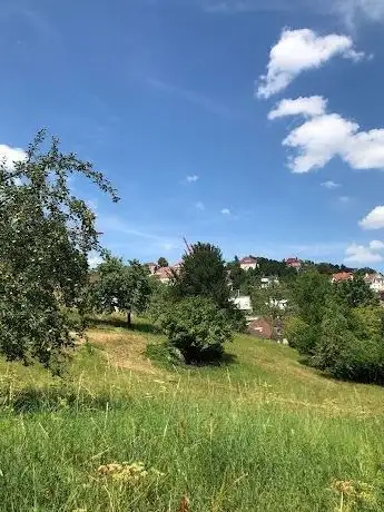 Photo de Park der Villa Scheufelen