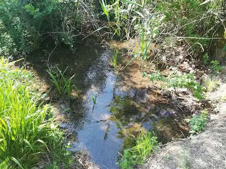 Photo de Biotopo naturale regionale Palude Fraghis