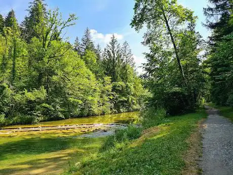 Photo de TÃ¶ss