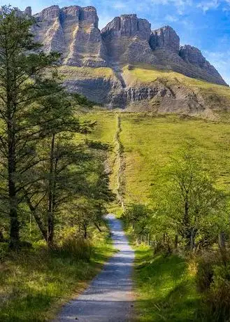Photo de Benbulben Forest Walk