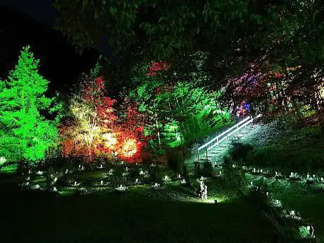 Photo de Lumina Milia