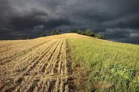 Photo de Dřínek
