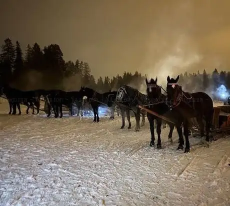 Photo de Kuligi Białka Tatrzańska Premium