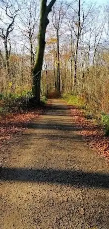Photo de Castroper Holz