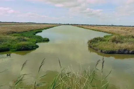 Foto de Le marais de Brouage
