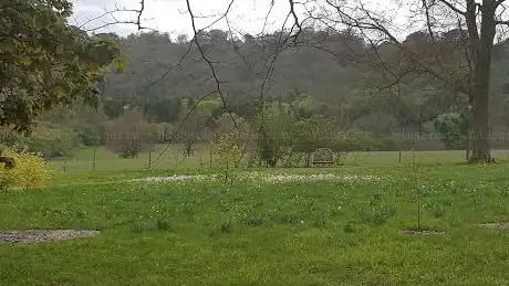 Photo de Highclere Park