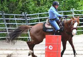 Photo de Ranch Saint Prix