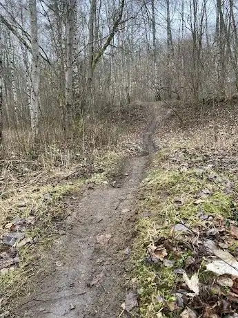 Photo de Vista MTB