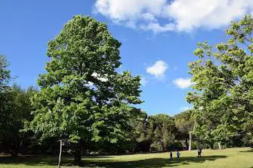Photo de Parc Saint Cyr