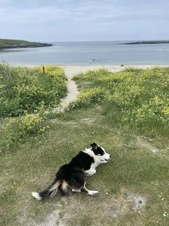 Galley Cove Beach