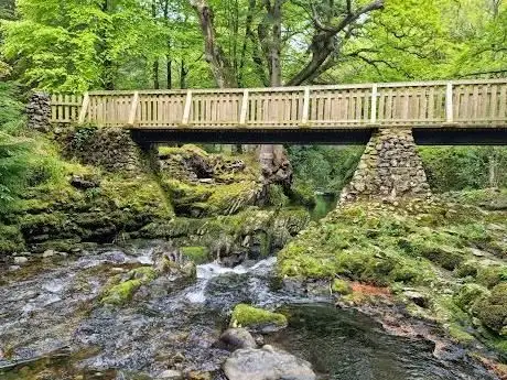Tollymore Forest Park