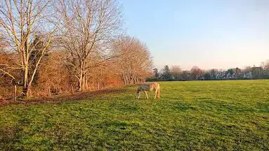 Photo de Parc de Trousseau