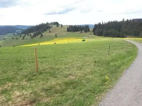 Photo de Neumannshütte