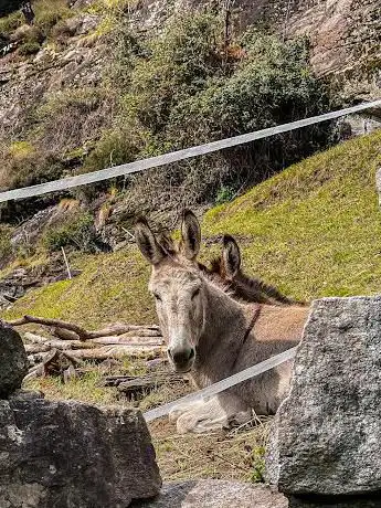 Photo de Pozzone di Osogna