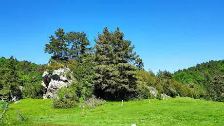 Photo de Roca del Catllaràs