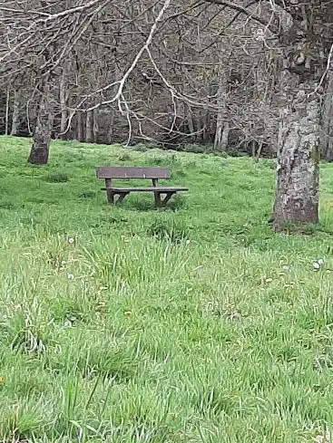 Photo de Parc du Manoir des Salles