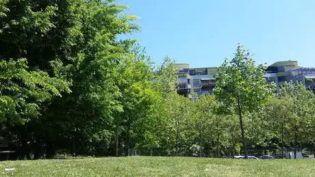 Photo de Park Nicola Calipari