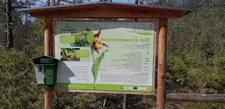 Photo of Frauenschuhgebiet Martinauer Au