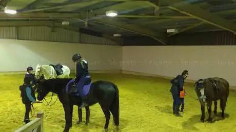 Photo de Echo's Equestrian Livery & Coaching Centre