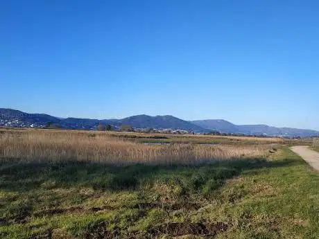 Photo de Miradoiro da Xunqueira