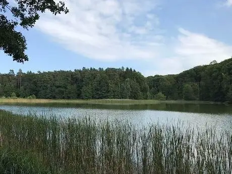Photo de Weltnaturerbe Buchenwald Grumsin
