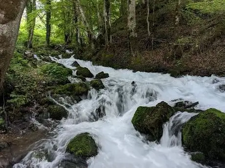 Photo de Tara Springs Park