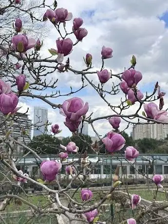 Photo of Nezahat Gökyiğit Botanik Bahçesi  Ataşehir Girişi