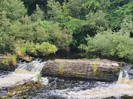Photo de Lennon River Waterfall